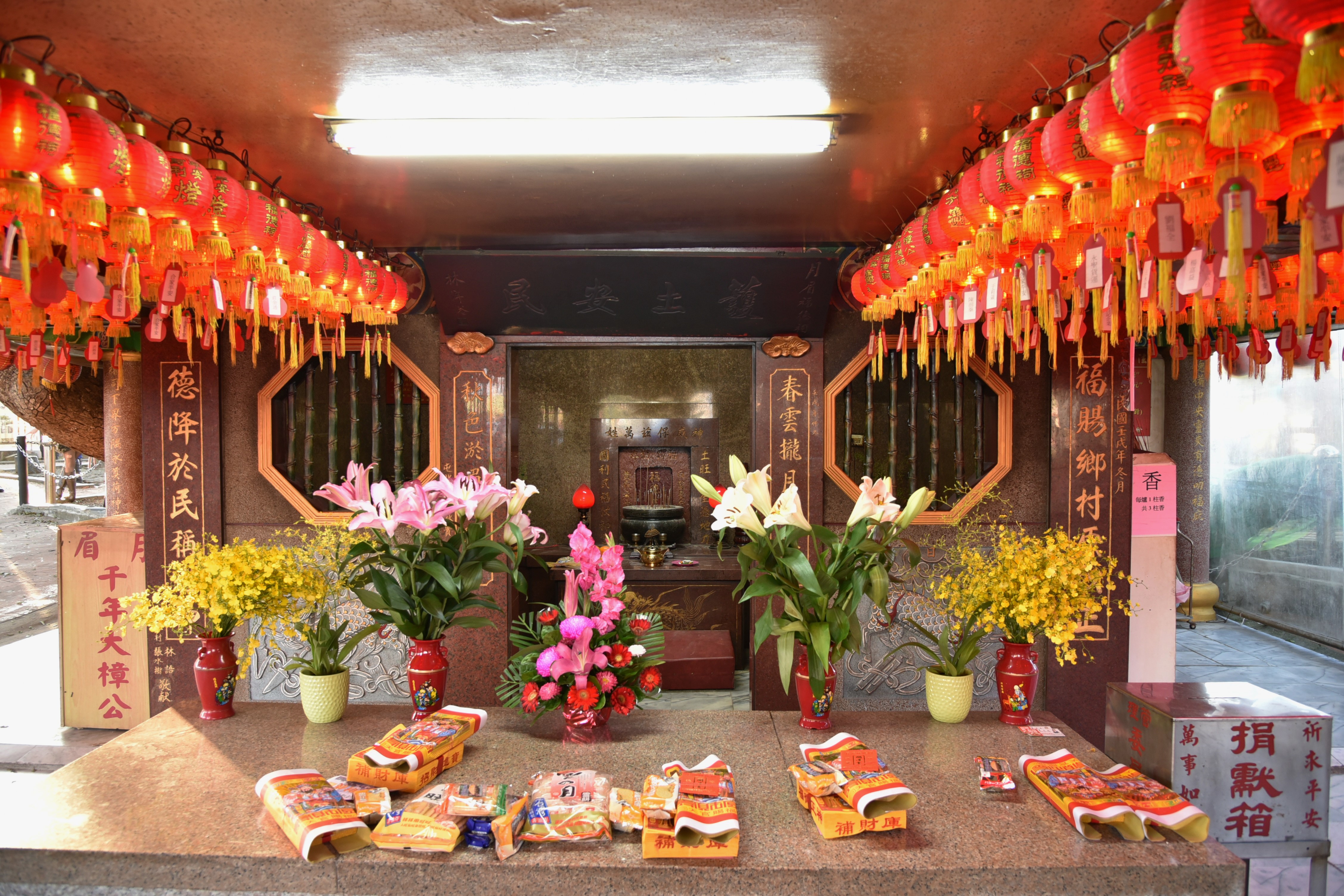 A Temple By The Thousand Year Old Tree Shutterbug